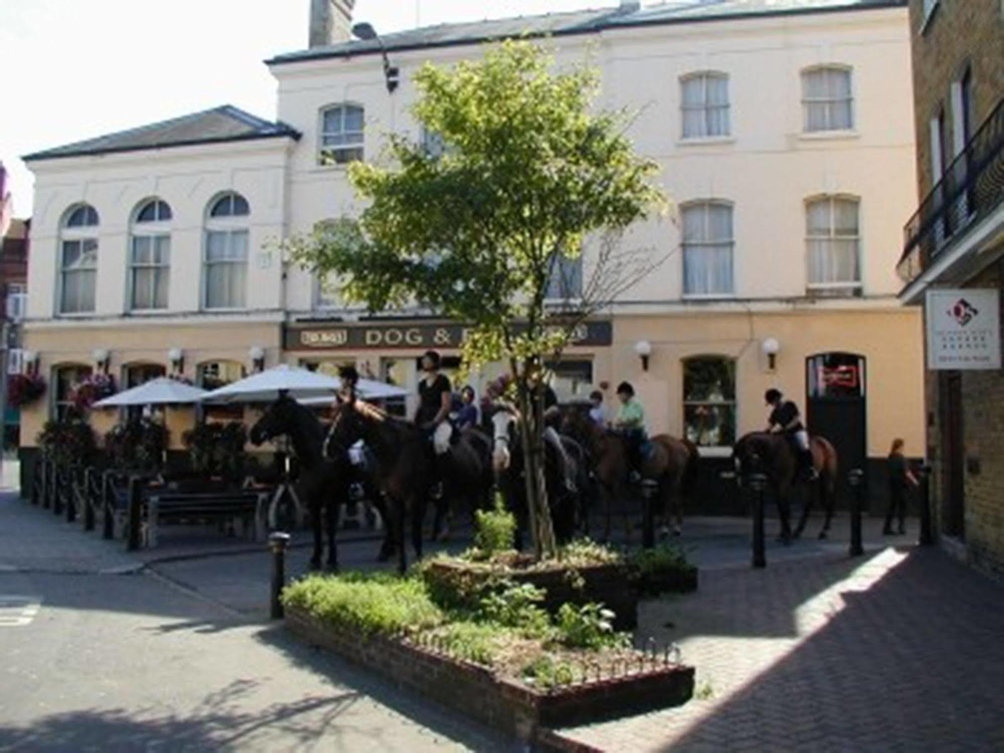 Lovely Garden Apartment In Wimbledon Town Centre With Private Parking By Wimbledon Holiday Lets London Kültér fotó